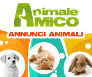 Annunci Animali Cani Gatti AnimaleAmico.com