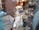 inseparabili amici per la pelle!!