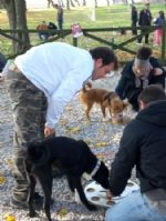 istruttore cinofilo del centro studi del cane