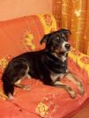 mi chiamo teo