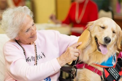 Un cane per la tua salute!