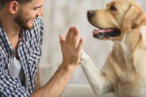 Un cane per la tua salute!