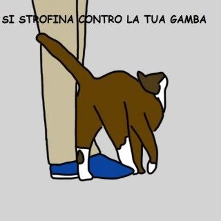 Tutti i modi in cui il gatto dimostra che ti ama