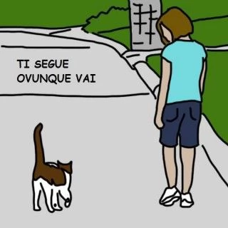 Tutti i modi in cui il gatto dimostra che ti ama