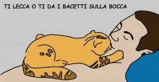 Tutti i modi in cui il gatto dimostra che ti ama