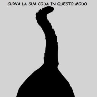 Tutti i modi in cui il gatto dimostra che ti ama