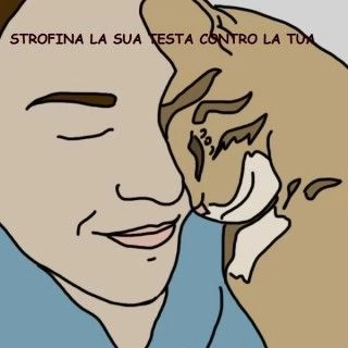 Tutti i modi in cui il gatto dimostra che ti ama