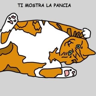 Tutti i modi in cui il gatto dimostra che ti ama