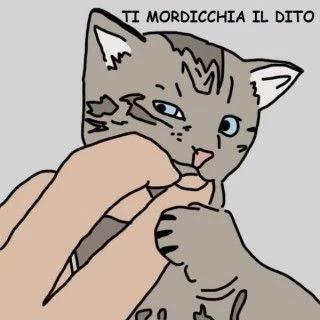 Tutti i modi in cui il gatto dimostra che ti ama