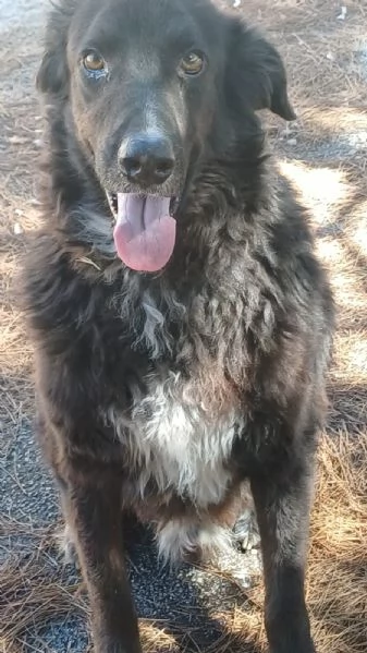 Kalugrave cerca una casa | Foto 1