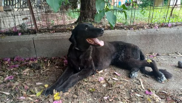 Kalugrave cerca una casa