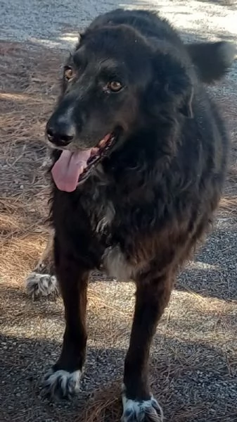 Kalugrave cerca una casa | Foto 0