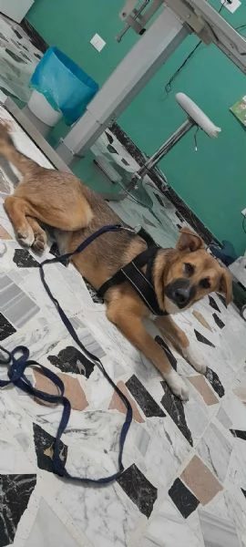 STUPENDO COFFY | Foto 3