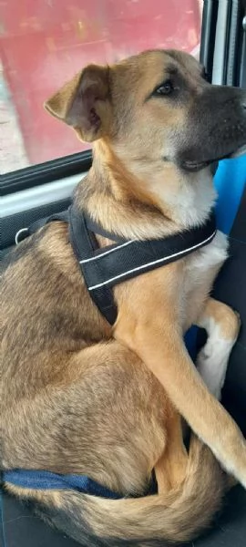 STUPENDO COFFY | Foto 2