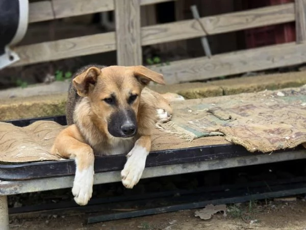 STUPENDO COFFY | Foto 1