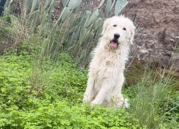 buonissima nuvola in regalo | Foto 2