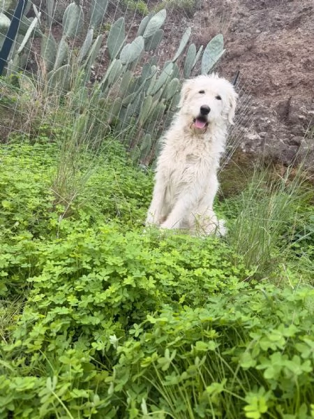 buonissima nuvola in regalo | Foto 0