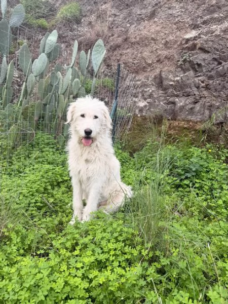 buonissima nuvola in regalo