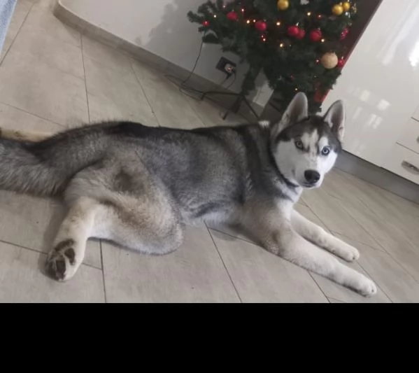 DOLCE LUCKY IN REGALO | Foto 1