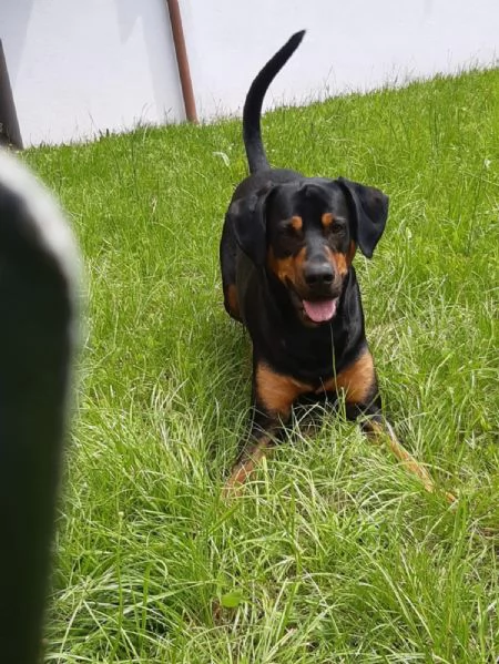 DOLCE DARKO IN REGALO | Foto 3