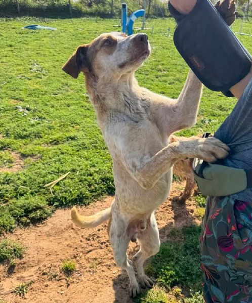 Simbagiovane dal cuore grandein cerca di famiglia | Foto 5