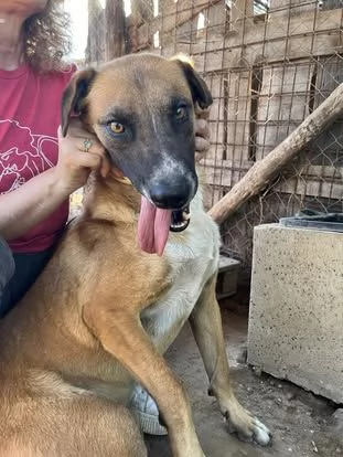 Tangosimpatico ed esuberantein cerca di famiglia | Foto 2