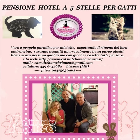 pensione  hotel  a  5  stelle  per gatti