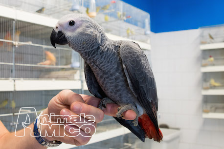 Cerco amore a padova Cerco amore a padova