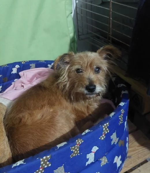 Henry dolcissimo e desideroso di una famiglia | Foto 0