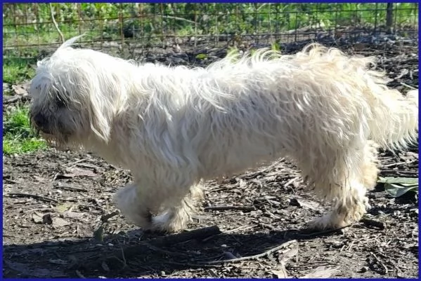 DELORIS 7anni piccola dolcezza hidden cuore | Foto 2