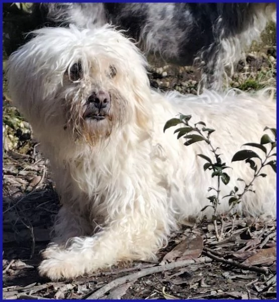 DELORIS 7anni piccola dolcezza hidden cuore | Foto 1