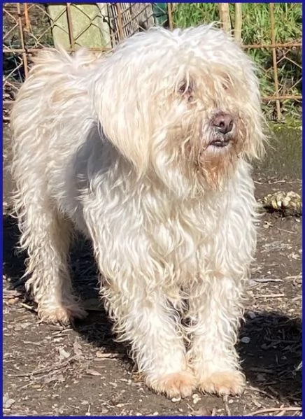 DELORIS 7anni piccola dolcezza hidden cuore | Foto 0