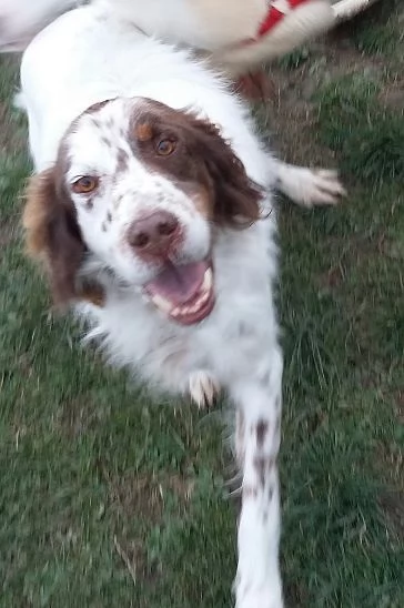 ALAN 10 anni gioioso ed ottimista | Foto 1