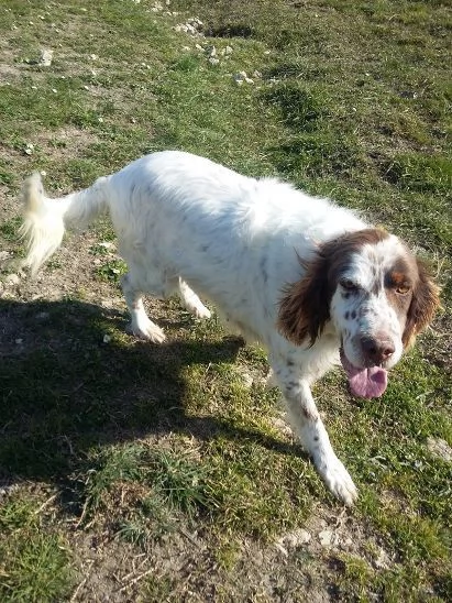 ALAN 10 anni gioioso ed ottimista | Foto 0