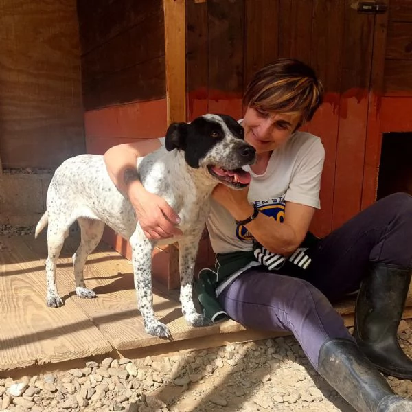 BRIA affettuosa cerca il contatto | Foto 1