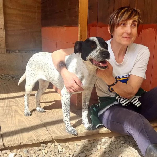 BRIA affettuosa cerca il contatto | Foto 0