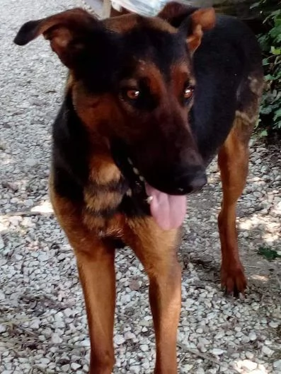 HUBERT 45anni adora i bambini