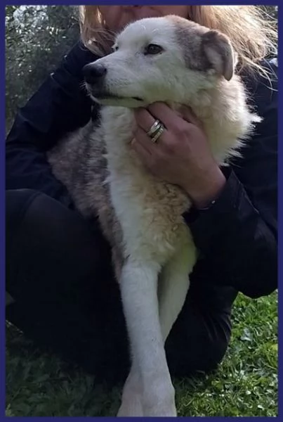 GENGIS CAN adorabile nonnino  | Foto 0