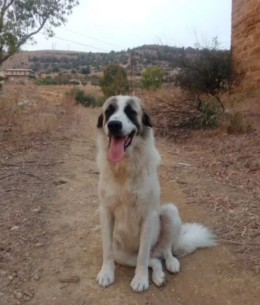 LUCA 2 anni di solutudine  | Foto 0