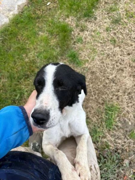 BRINA giovane simpatica meticcina | Foto 1