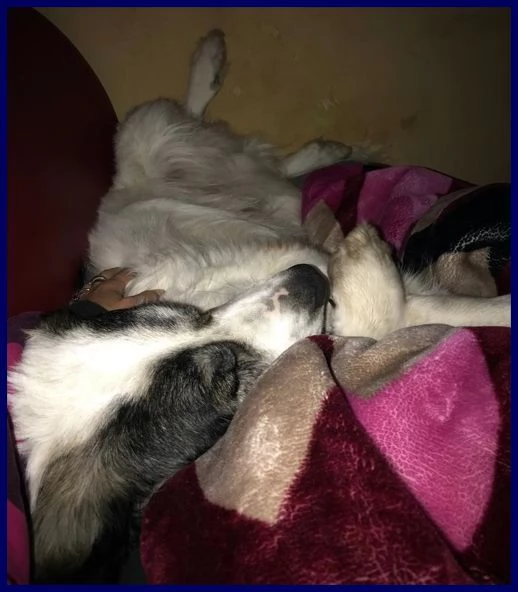 GGG il gigante gentile | Foto 3