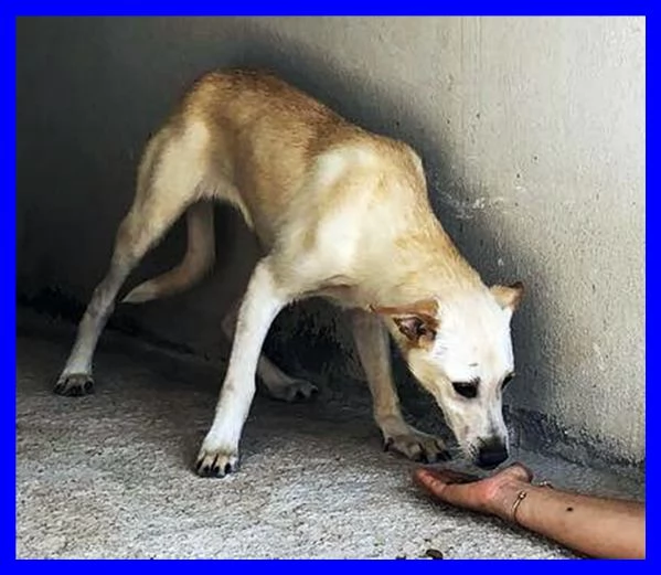 JANIS 8anni bella timidina | Foto 1