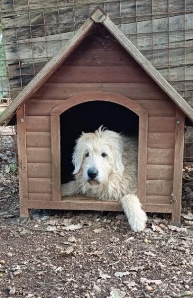 REBECCA 9anni  rimasta sola al mondo | Foto 3