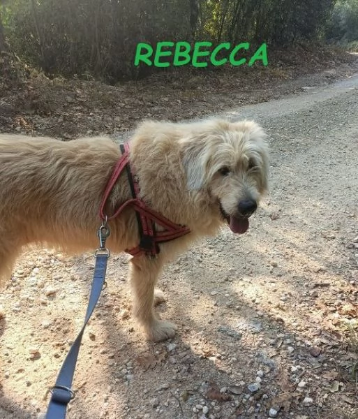 REBECCA 9anni  rimasta sola al mondo | Foto 2