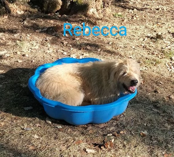 REBECCA 9anni  rimasta sola al mondo | Foto 1