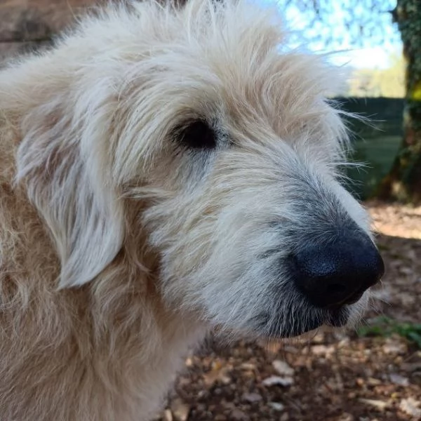 REBECCA 9anni  rimasta sola al mondo | Foto 0