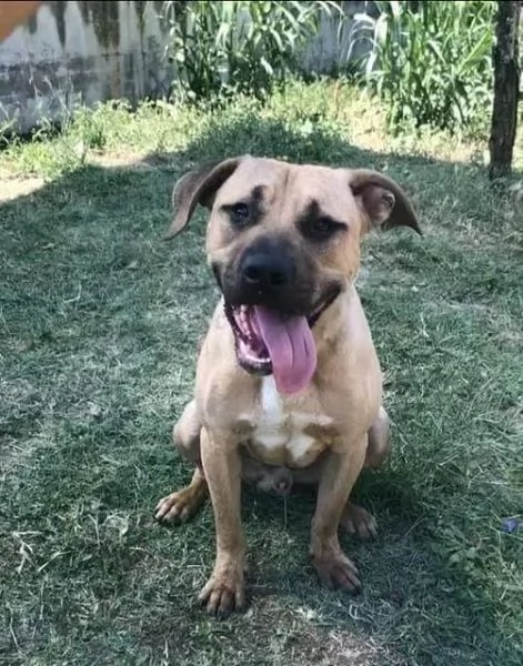 OTIS socievole ama correre