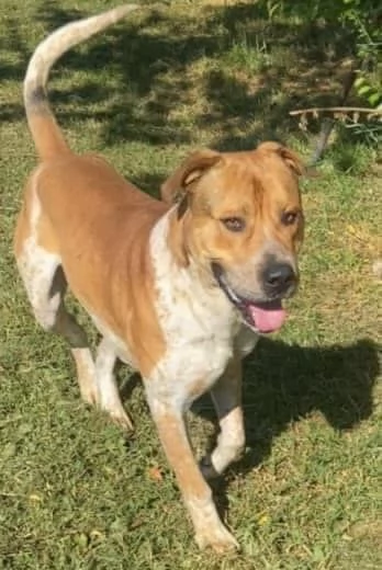 CASPER bravo ed equilibrato | Foto 2