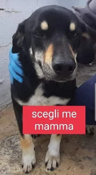 LIAM 34anni dolcissimo patatone tg media