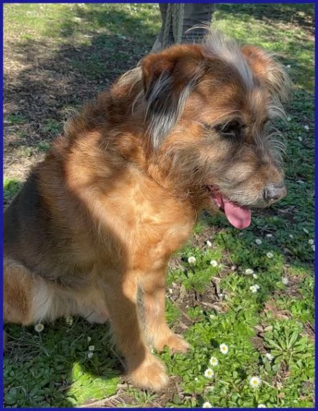 FRED Flintstone ciuffo che conquista | Foto 3